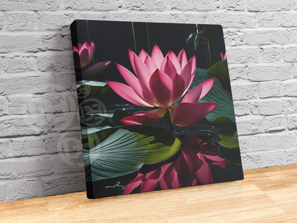 Pink Lotus